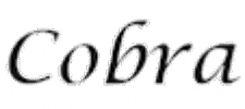 talkcobra_header_Sm